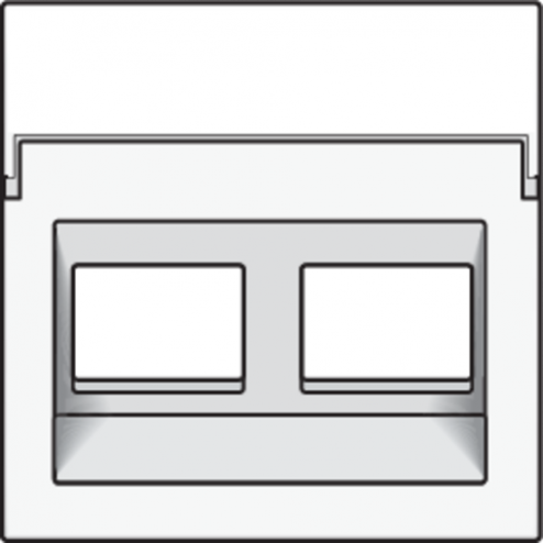 154-65400-Centraalplaat data 2x RJ schuin White Coated 154-65400-Niko