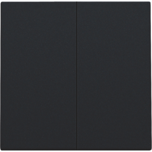 161-31004-Set tweevoudige drukknop voor slimme schakelaar Black Coated 161-31004-Niko