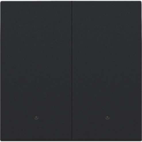 161-32004-Set tweevoudige drukknop voor slimme schakelaar met feedback Black Coated 161-32004-Niko