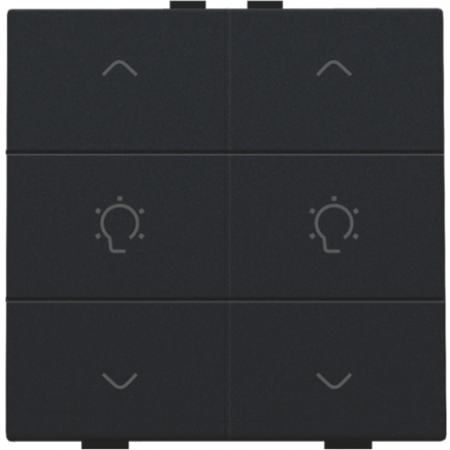 161-51046-Home Control Dubbele Dimbediening Black Coated 161-51046-Niko