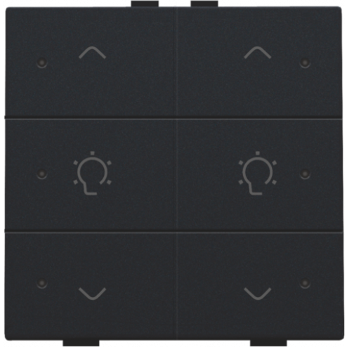 161-52046-Home Control Dubbele Dimbediening + LED Black Coated 161-52046-Niko