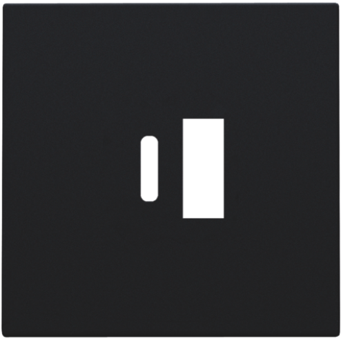 NIK16168002-Centraalplaat USB-lader Black Coated 161-68002-Niko