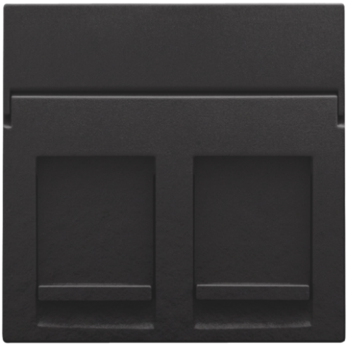 200-65200-Centraalplaat data 2x RJ Piano Black Coated 200-65200-Niko