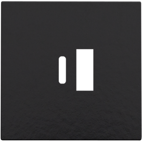 NIK20068002-Centraalplaat USB-lader Piano Black Coated 200-68002-Niko