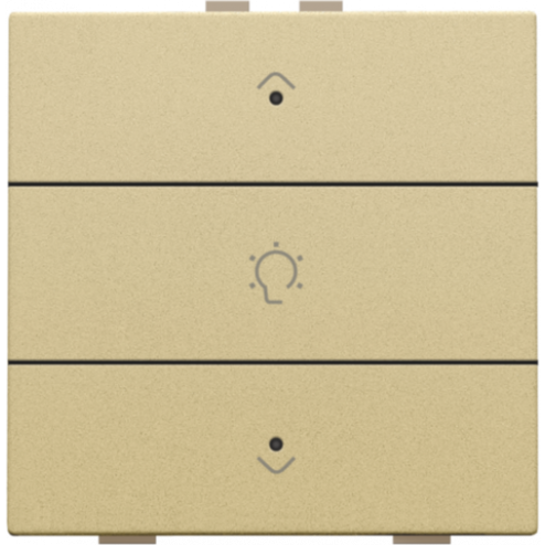 221-52043-Home Control Dimbediening + LED Alu Gold Coated 221-52043-Niko