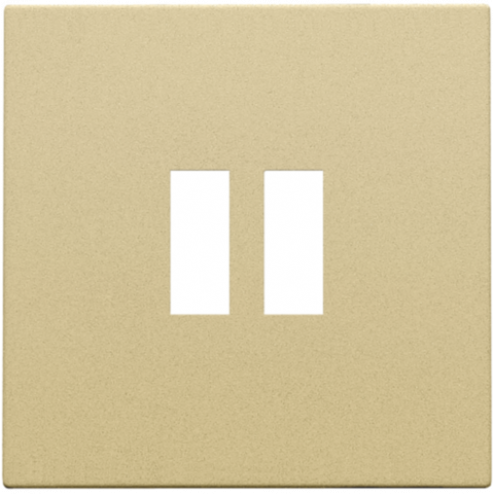 221-68001-Centraalplaat USB-lader Alu Gold Coated 221-68001-Niko