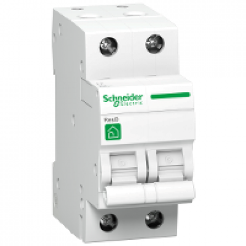 R9F64225-Automaat 2P 25A-Schneider