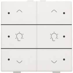 Home Control Dubbele Dimbediening + LED White 101-52046