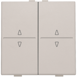 Toets 2X RF / Bus O/N Light Grey 102-00010