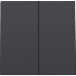 Set tweevoudige drukknop voor slimme schakelaar Athracite 122-31004