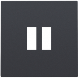 Centraalplaat USB-lader Athracite 122-68001