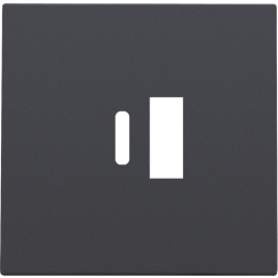 Centraalplaat USB-lader Athracite 122-68002
