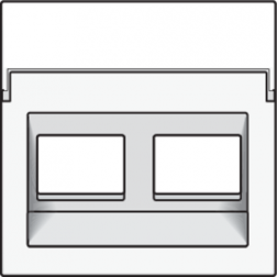 Centraalplaat data 2x RJ schuin White Coated 154-65400