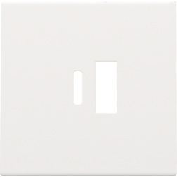 Centraalplaat USB-lader White Coated 154-68002