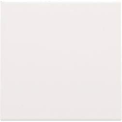 Centrale Blindplaat White Coated 154-76901