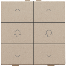 Home Control Dubbele Dimbediening Champagne Coated 157-51046