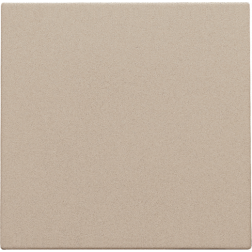 Centrale Blindplaat Champagne Coated 157-76901