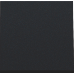 Toets Drukknop Led-Dimmer Black Coated 161-31002