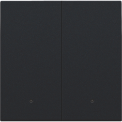 Set tweevoudige drukknop voor slimme schakelaar met feedback Black Coated 161-32004