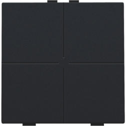 Home Control Viervoudige Drukknop Black Coated 161-51004