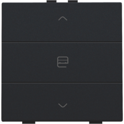Home Control Motorbediening Black Coated 161-51033