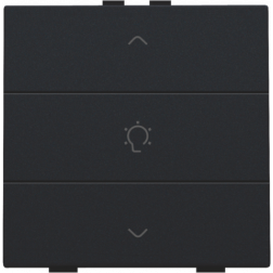 Home Control Dimbediening Black Coated 161-51043