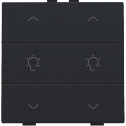 Home Control Dubbele Dimbediening Black Coated 161-51046