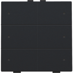 Home Control Zesvoudige Drukknop + LED Black Coated 161-52006