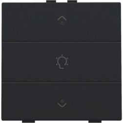 Home Control Dimbediening + LED Black Coated 161-52043