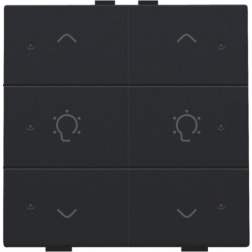 Home Control Dubbele Dimbediening + LED Black Coated 161-52046