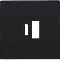 Centraalplaat USB-lader Black Coated 161-68002