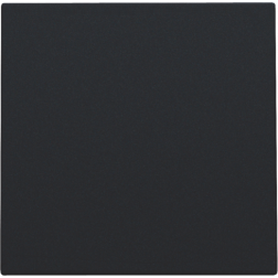 Centrale Blindplaat Black Coated 161-76901