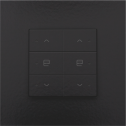 Home Control Dubbele Motorsturing + LED Piano Black Coated 200-52036