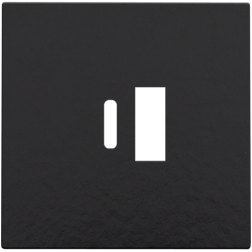 Centraalplaat USB-lader Piano Black Coated 200-68002
