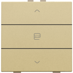 Home Control Motorbediening Alu Gold Coated 221-51033