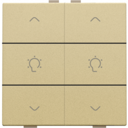 Home Control Dubbele Dimbediening Alu Gold Coated 221-51046