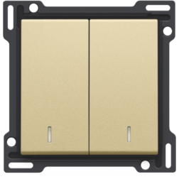 2X1/2 Toets met lens Alu Gold Coated 221-61507