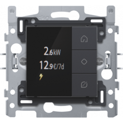 Home Control Ecodisplay  550-13080