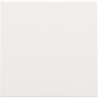 154-76901-Centrale Blindplaat White Coated 154-76901-Niko