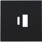 NIK16168002-Centraalplaat USB-lader Black Coated 161-68002-Niko