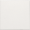 Centrale Blindplaat White 101-76901