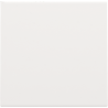 Centrale Blindplaat White Coated 154-76901