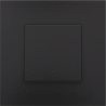 Home Control Drukknop + LED Piano Black Coated 200-52001
